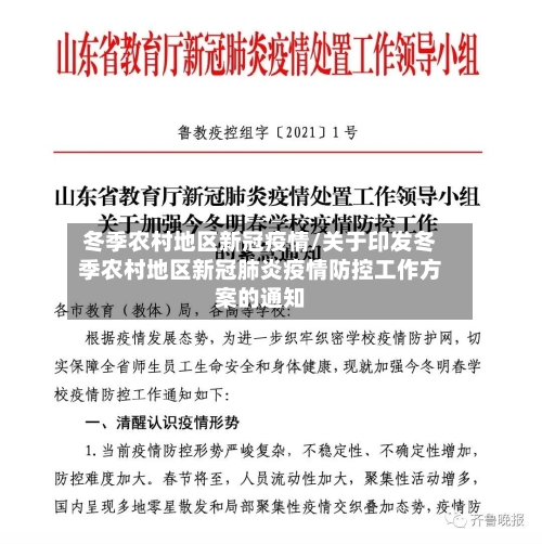 冬季农村地区新冠疫情/关于印发冬季农村地区新冠肺炎疫情防控工作方案的通知-第2张图片