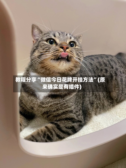 教程分享“微信今日花牌开挂方法”(原来确实是有插件)-第2张图片