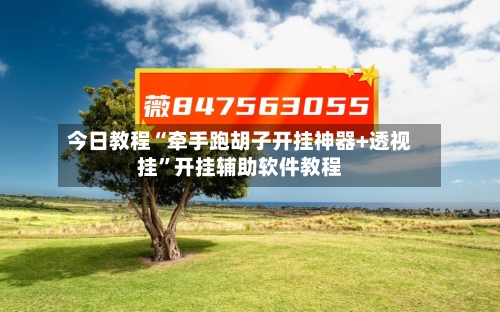 今日教程“牵手跑胡子开挂神器+透视挂”开挂辅助软件教程-第2张图片