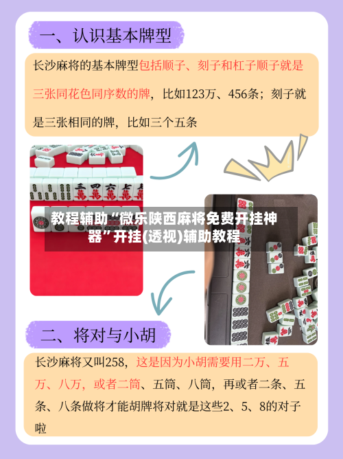 教程辅助“微乐陕西麻将免费开挂神器”开挂(透视)辅助教程-第2张图片