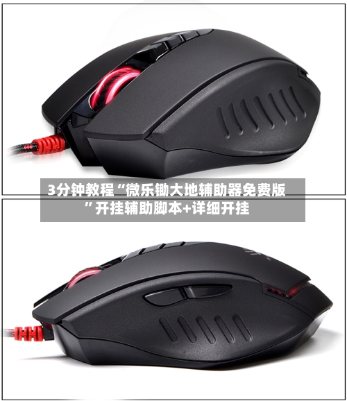3分钟教程“微乐锄大地辅助器免费版”开挂辅助脚本+详细开挂-第2张图片