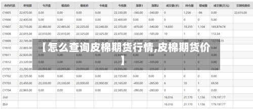 【怎么查询皮棉期货行情,皮棉期货价】