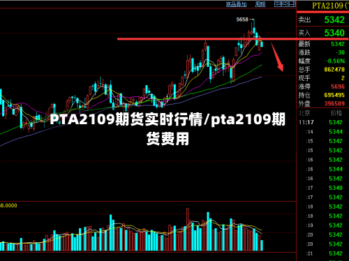 PTA2109期货实时行情/pta2109期货费用-第3张图片