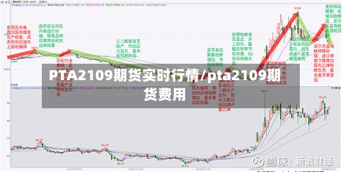 PTA2109期货实时行情/pta2109期货费用