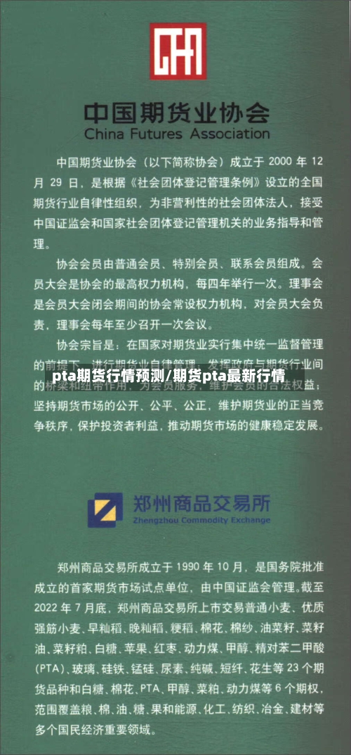pta期货行情预测/期货pta最新行情-第2张图片
