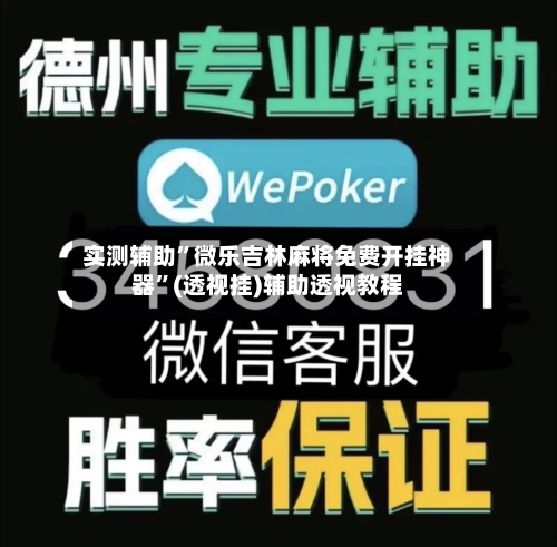 实测辅助”微乐吉林麻将免费开挂神器”(透视挂)辅助透视教程-第3张图片