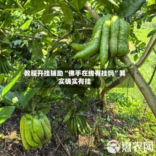 教程开挂辅助“佛手在线有挂吗	”其实确实有挂-第2张图片