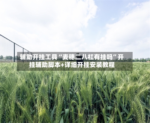辅助开挂工具“麦穗二八杠有挂吗”开挂辅助脚本+详细开挂安装教程
