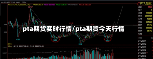 pta期货实时行情/pta期货今天行情