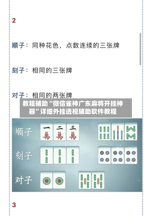 教程辅助“微信雀神广东麻将开挂神器”详细外挂透视辅助软件教程-第3张图片
