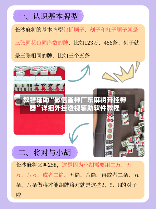 教程辅助“微信雀神广东麻将开挂神器”详细外挂透视辅助软件教程-第2张图片
