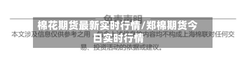 棉花期货最新实时行情/郑棉期货今日实时行情-第3张图片