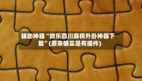 辅助神器“微乐四川麻将外卦神器下载”(原来确实是有插件)