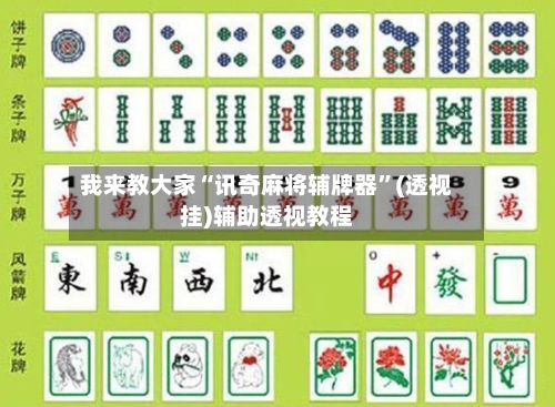 我来教大家“讯奇麻将辅牌器	”(透视挂)辅助透视教程-第2张图片