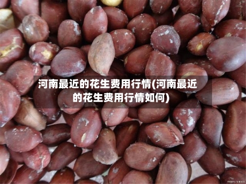 河南最近的花生费用行情(河南最近的花生费用行情如何)-第3张图片