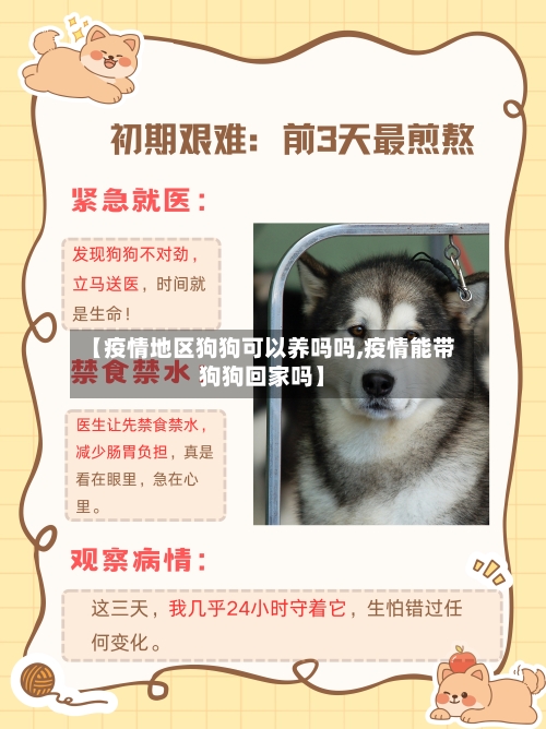 【疫情地区狗狗可以养吗吗,疫情能带狗狗回家吗】