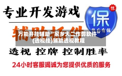 万能开挂辅助“家乡大二作弊软件”(透视挂)辅助透视教程-第3张图片