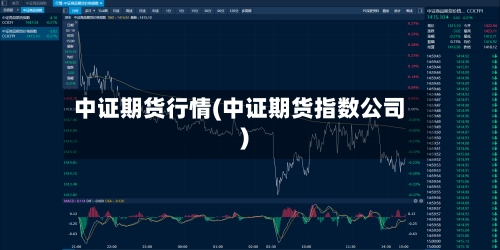 中证期货行情(中证期货指数公司)