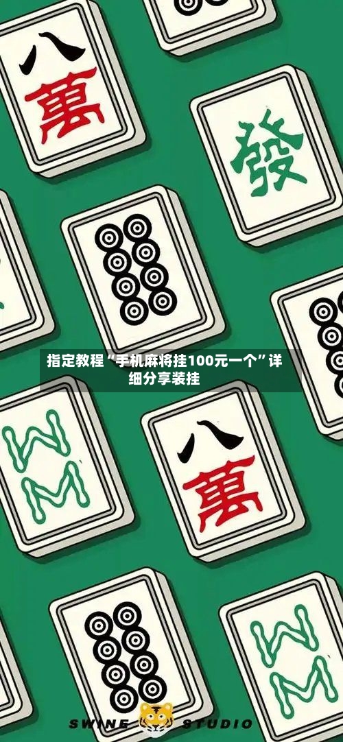 指定教程“手机麻将挂100元一个”详细分享装挂-第3张图片