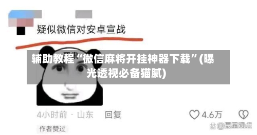 辅助教程“微信麻将开挂神器下载	”(曝光透视必备猫腻)-第2张图片