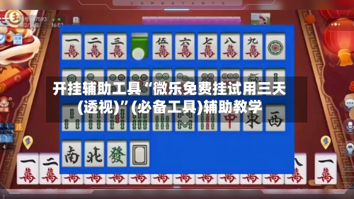 开挂辅助工具“微乐免费挂试用三天(透视)	”(必备工具)辅助教学-第3张图片