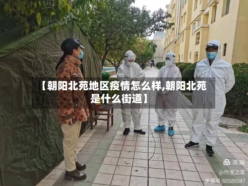 【朝阳北苑地区疫情怎么样,朝阳北苑是什么街道】