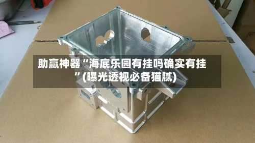 助赢神器“海底乐园有挂吗确实有挂”(曝光透视必备猫腻)-第2张图片