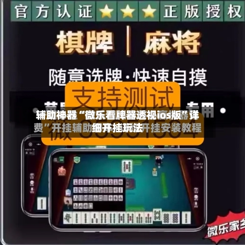 辅助神器“微乐看牌器透视ios版”详细开挂玩法