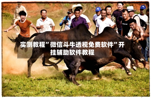 实测教程	”微信斗牛透视免费软件”开挂辅助软件教程-第2张图片