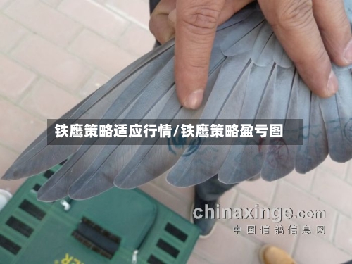 铁鹰策略适应行情/铁鹰策略盈亏图