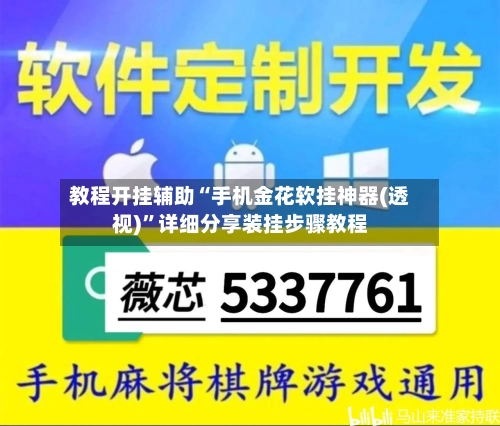 教程开挂辅助“手机金花软挂神器(透视)	”详细分享装挂步骤教程-第2张图片