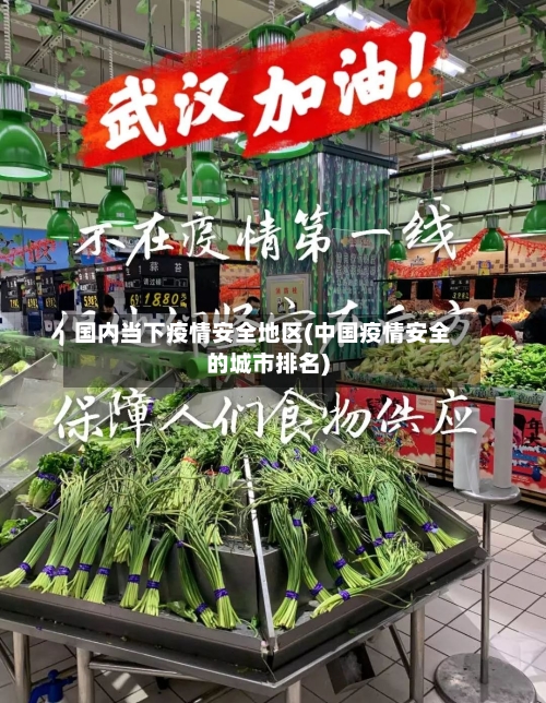 国内当下疫情安全地区(中国疫情安全的城市排名)-第3张图片