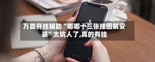 万能开挂辅助“嘟嘟十三张挂图解安装	”太坑人了,真的有挂-第2张图片