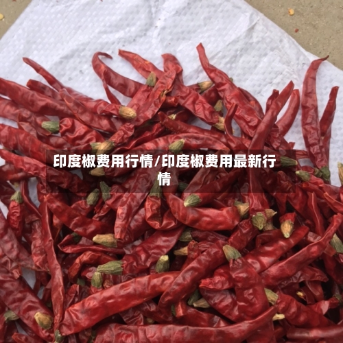 印度椒费用行情/印度椒费用最新行情