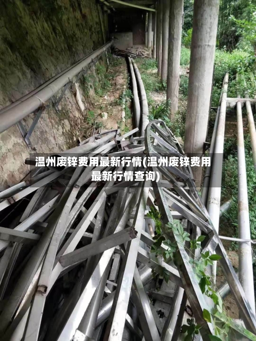 温州废锌费用最新行情(温州废锌费用最新行情查询)