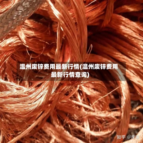 温州废锌费用最新行情(温州废锌费用最新行情查询)-第2张图片