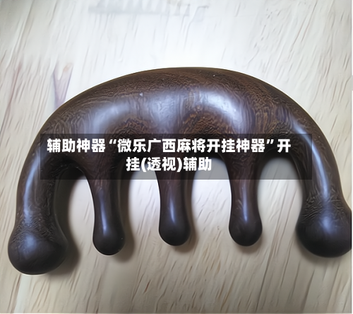 辅助神器“微乐广西麻将开挂神器”开挂(透视)辅助-第2张图片