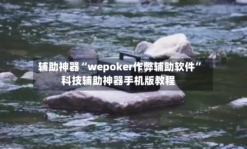 辅助神器“wepoker作弊辅助软件”科技辅助神器手机版教程-第3张图片