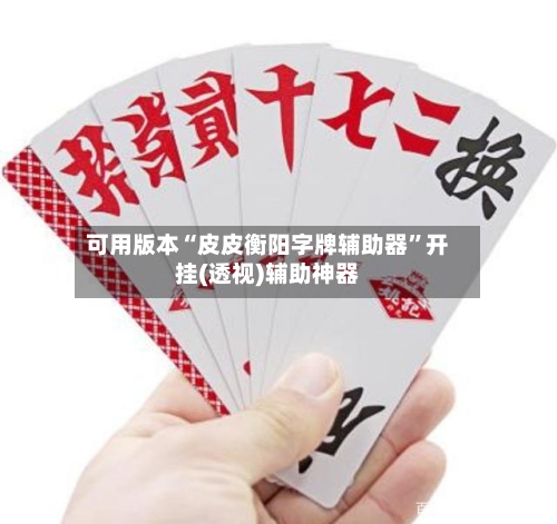 可用版本“皮皮衡阳字牌辅助器”开挂(透视)辅助神器