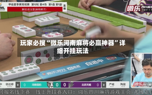 玩家必搜“微乐河南麻将必赢神器”详细开挂玩法-第3张图片