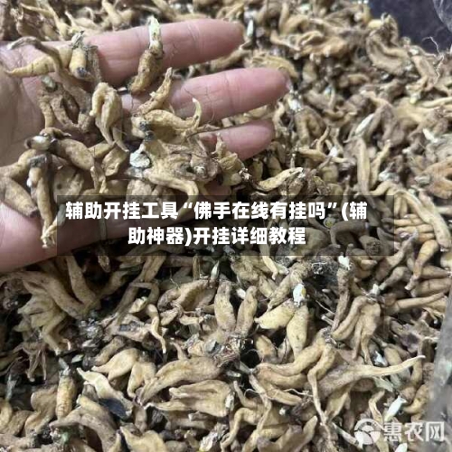 辅助开挂工具“佛手在线有挂吗”(辅助神器)开挂详细教程