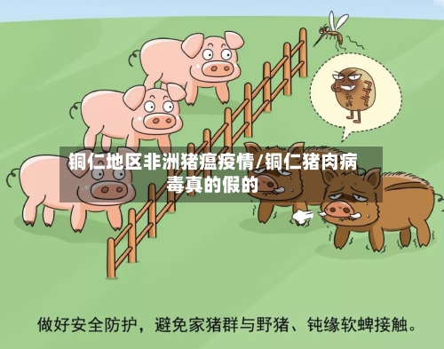 铜仁地区非洲猪瘟疫情/铜仁猪肉病毒真的假的-第3张图片