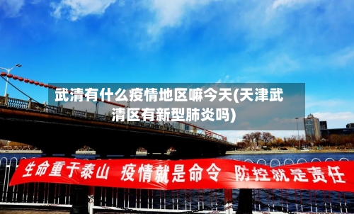 武清有什么疫情地区嘛今天(天津武清区有新型肺炎吗)-第3张图片