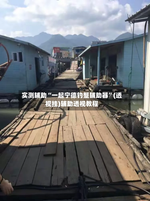 实测辅助“一起宁德钓蟹辅助器	”(透视挂)辅助透视教程-第3张图片