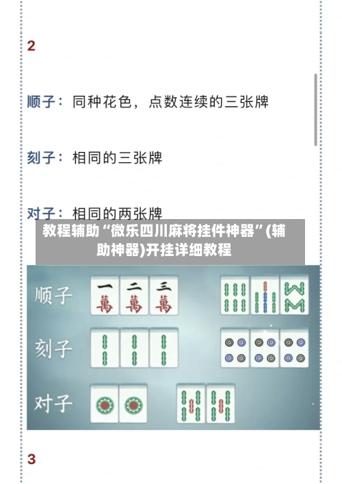 教程辅助“微乐四川麻将挂件神器”(辅助神器)开挂详细教程-第2张图片
