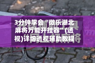 3分钟学会“微乐湖北麻将万能开挂器”(透视)详细透视辅助教程-第3张图片