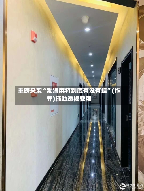 重磅来袭“渤海麻将到底有没有挂”(作弊)辅助透视教程