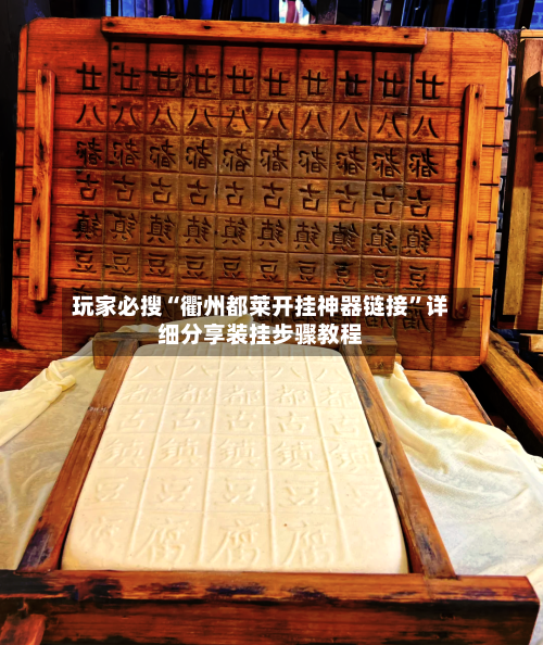 玩家必搜“衢州都莱开挂神器链接	”详细分享装挂步骤教程-第3张图片