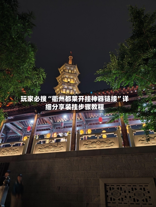 玩家必搜“衢州都莱开挂神器链接”详细分享装挂步骤教程-第2张图片