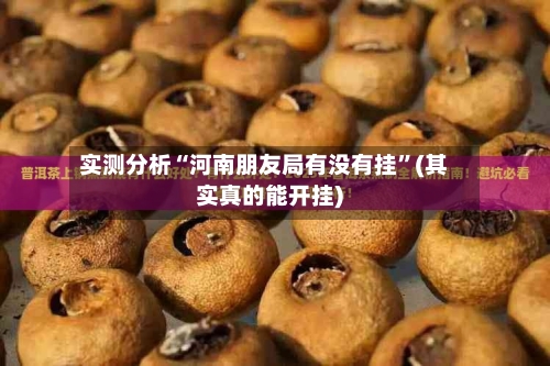 实测分析“河南朋友局有没有挂”(其实真的能开挂)